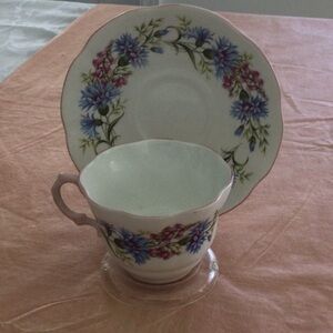 Vintage Rosina cup & saucer made in England marked Wild Flowers color blue& red